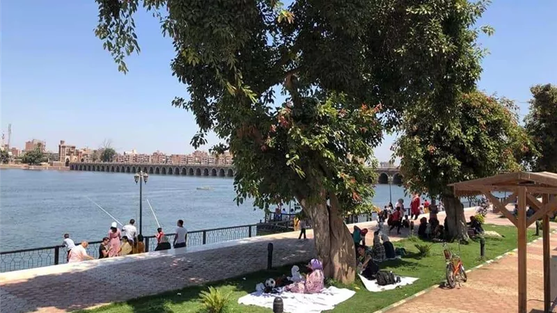 الأرصاد الجوية تعلن تفاصيل حالة الطقس في مصر حتى نهاية الأسبوع