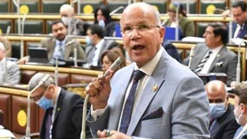 النائب سيد شمس الدين