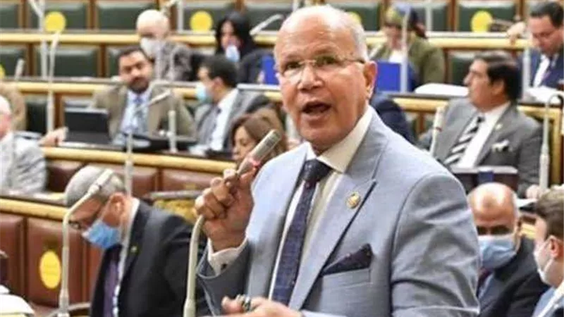 خاص| النائب سيد شمس الدين: الشعب المصري يلتف حول قيادته السياسية