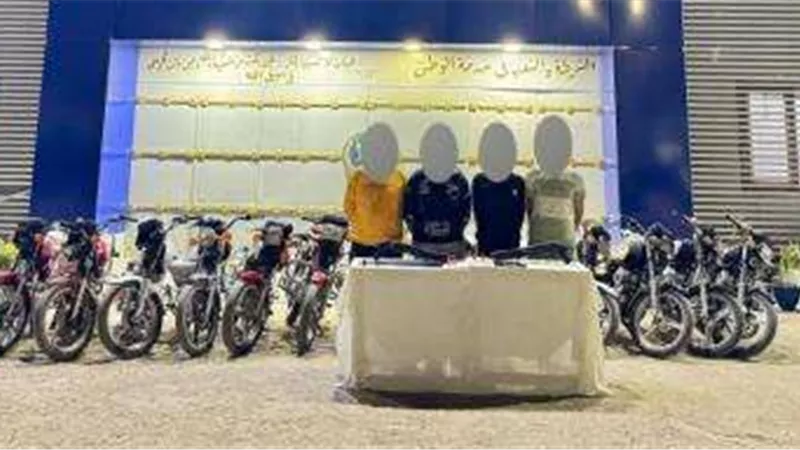 سقوط عصابتين في الوادي الجديد والدقهلية بعد ارتكابهما 31 جريمة سرقة
