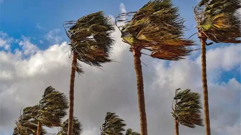 غدا الأحد 4 مايو.. طقس مائل للحرارة نهارًا وأمطار محتملة في عدة مناطق