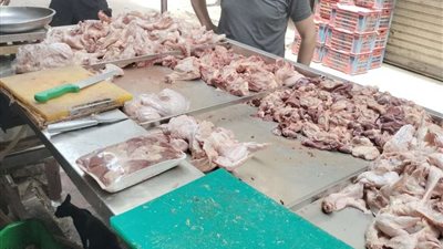 التموين تشن حملات رقابية واسعة في كفر الشيخ.. ومخالفات بالمخابز والأسواق