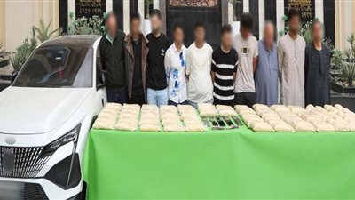 سقوط عصابة 