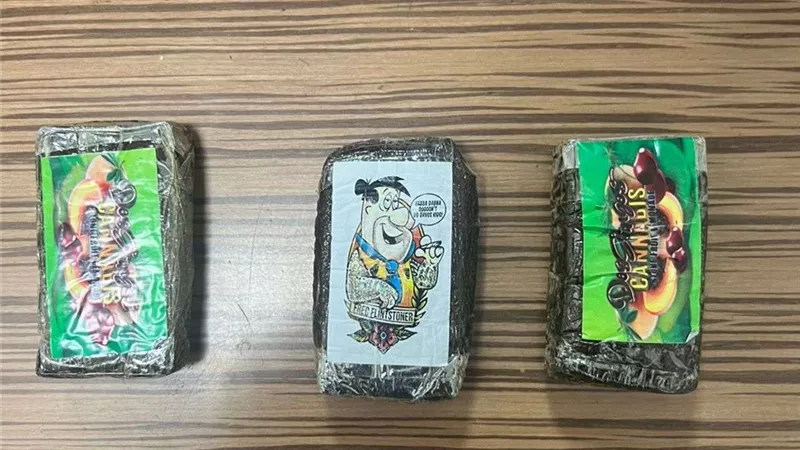 ضبط راكب أجنبي بحوزته كمية من مخدر الحشيش والحبوب المخدرة