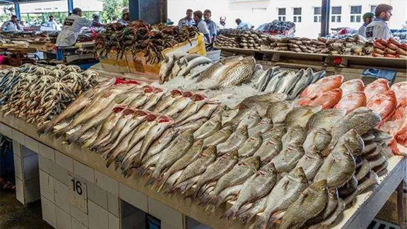 البلطي بكام ؟.. أسعار الأسماك والجمبري اليوم السبت 10 مايو 2025