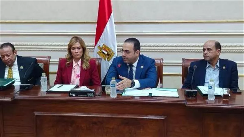 لجنة الشباب والرياضة بمجلس النواب تُقر موازنة الأكاديمية الوطنية للتدريب للعام المالي 2025/2026