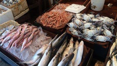 البلطي بكام؟.. أسعار الأسماك في الأسواق اليوم السبت 17 مايو 2025