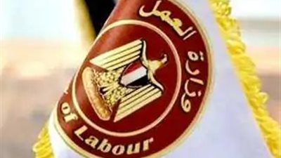 وزارة العمل تكشف نتائج حملاتها التفتيشية لضبط سوق العمل