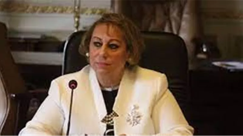 برلمانية: الإصلاحات الاقتصادية في مصر ليست على حساب العدالة الاجتماعية  