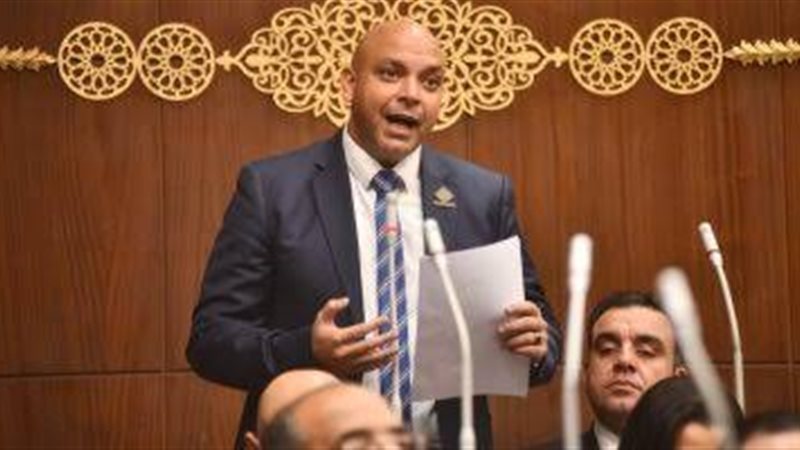 النائب محمود القط