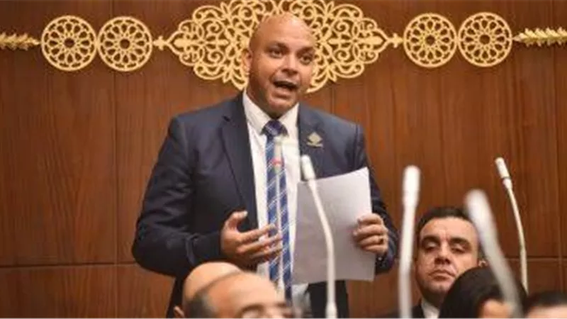 برلماني لـ«بلدنا اليوم»: الرئيس السيسي يشعر بواجبه تجاه تبني قضايا وهموم المواطن العربي
