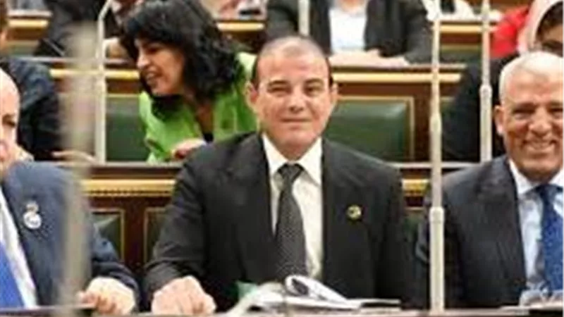 برلماني: العلاوة الدورية تأتي ضمن توجيهات الرئيس لتوفير حياة كريمة للمواطن