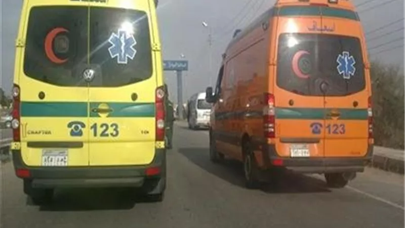 «لقيت ربها قبل زفافها».. تفاصيل مصرع فتاة دهسا في المنوفية