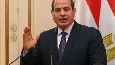 الرئيس السيسي: تحويل 2.2 مليون فدان إلى أراضٍ زراعية يحتاج لاستثمارات ضخمة