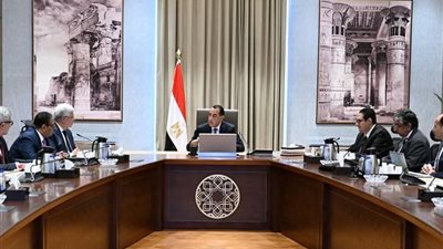  لـ«تطبيق علاجات مبتكرة للأورام».. مدبولي يبحث التعاون مع وفد من جامعة أكسفورد