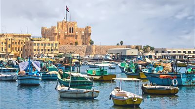 لا يتخطى الــ200 جنيه.. جولة ليوم سياحي في الإسكندرية 