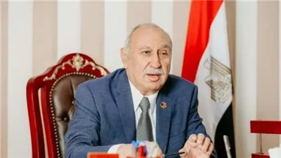 النائب أحمد عثمان: تسهيلات التجارة الخارجية تعزز تنافسية الاقتصاد المصري