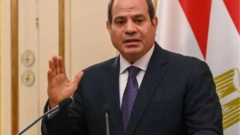 الرئيس السيسي: تحويل 2.2 مليون فدان إلى أراضٍ زراعية يحتاج لاستثمارات ضخمة