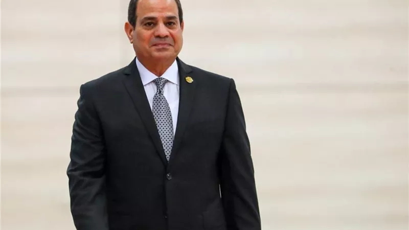 السيسي: يجب تحقيق الاكتفاء الذاتي من السلع الاستراتيجية 