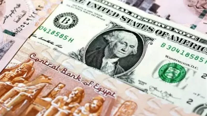 آخر تحديث.. أسعار الدولار مقابل الجنيه الآن 21-5-2025