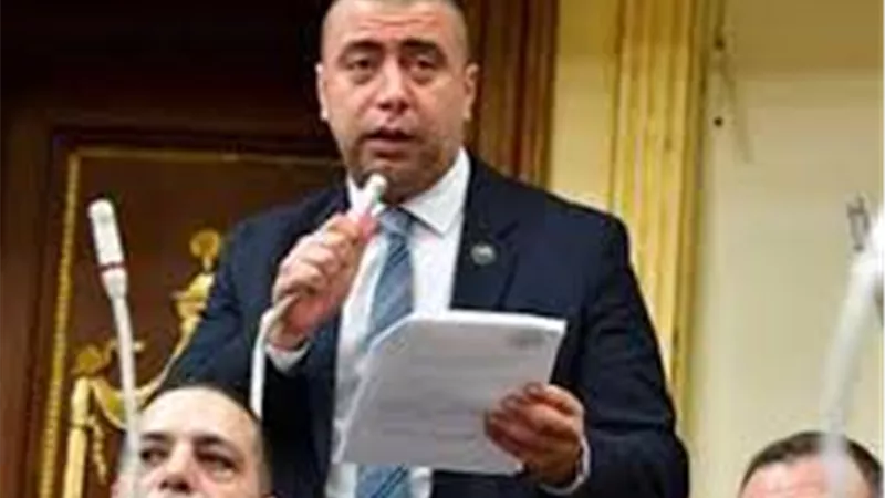 برلماني لـ«بلدنا اليوم»: الصين ترى مصر فرصة استثمارية ضخمة 