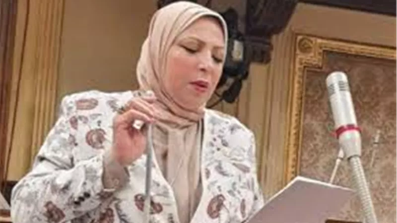برلماني لـ«بلدنا اليوم»: مصر وجهة الصين الأنسب للاستثمار
