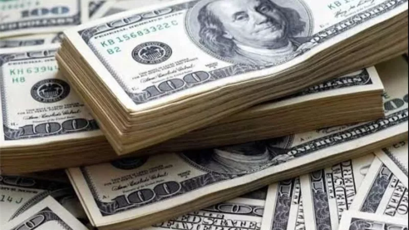 استقرار أسعار الدولار أمام الجنيه اليوم الجمعة.. اعرف التفاصيل