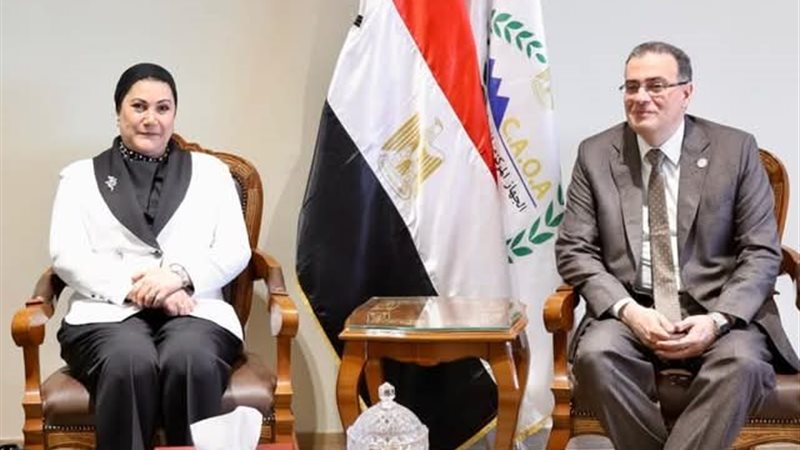 التنظيم والإدارة