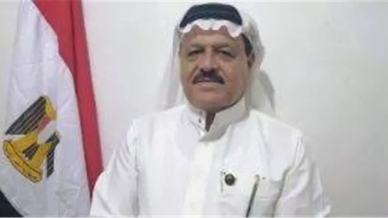 برلماني: الاستثمارت الصينية في مصر إضافة قوية وتحقق طفرة للاقتصاد