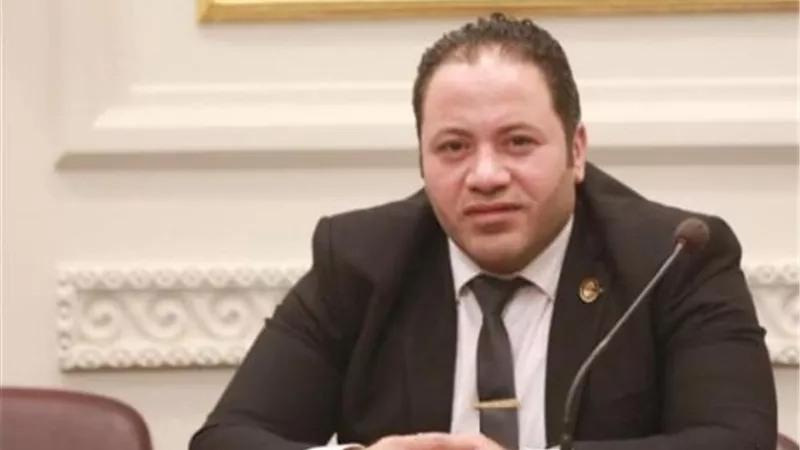 برلماني: إعادة تقسيم الدوائر الانتخابية يعمل على خلق التوازن السياسي بين الأحزاب