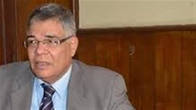 الدكتور نبيل رشوان