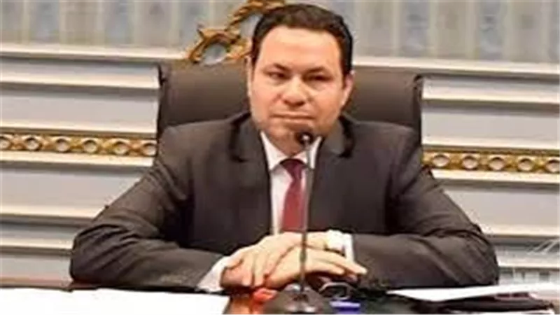 النائب هشام الحصري: الدولة تعمل على استراتيجية لزيادة الاستثمار بقطاع الزراعة
