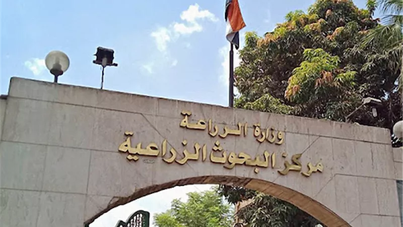 مركز البحوث الزراعية في مصر يحقق إنجازا جديدا 