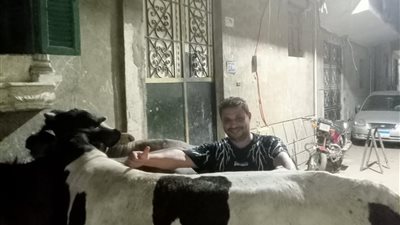 قبل العيد.. تعرف على أسعار العجول الحية واللحوم في الأسواق