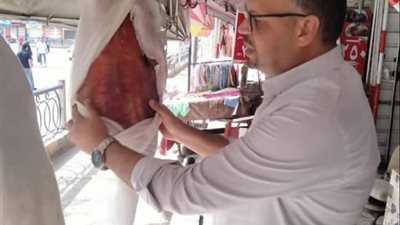ضبط 124 كيلو جرام لحوم وأسماك فاسدة خلال حملات في كفر الشيخ