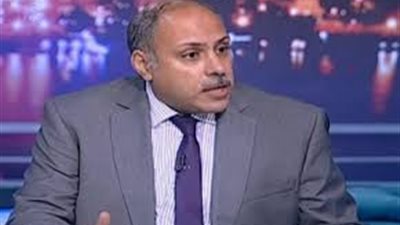 أستاذ علوم سياسية: دور مصر لا يمكن استبداله لحصول الفلسطينيين على حقهم