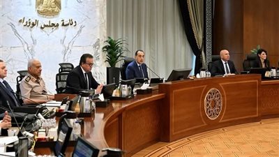 الكهرباء تكشف خطتها لزيادة الطاقة المتجددة إلى 30% بحلول 2030.. ما القصة؟