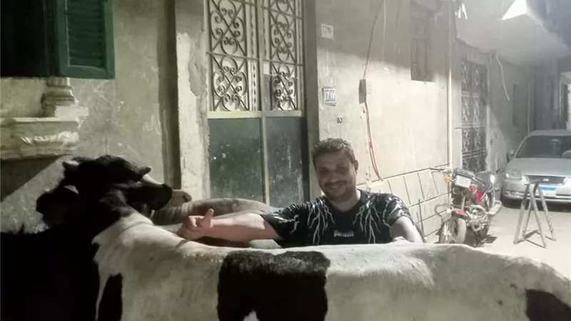 قبل العيد.. تعرف على أسعار العجول الحية واللحوم في الأسواق
