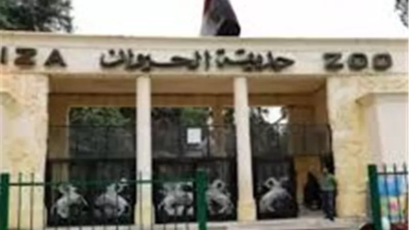 وزارة الزراعة تعلن موعد افتتاح حديقة الحيوان بالجيزة .. هل سيتم في عيد الأضحى ؟