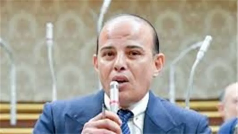 النائب عمرو القطامى: الدولة تتبنى سياسات إصلاحية لتعزيز الاقتصاد المصري