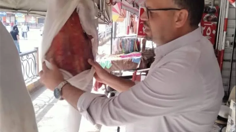 ضبط 124 كيلو جرام لحوم وأسماك فاسدة خلال حملات في كفر الشيخ
