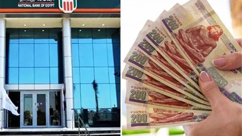 شهادات الادخار بالبنك الأهلي المصري 2025.. تفاصيل نسب الفائدة الجديدة