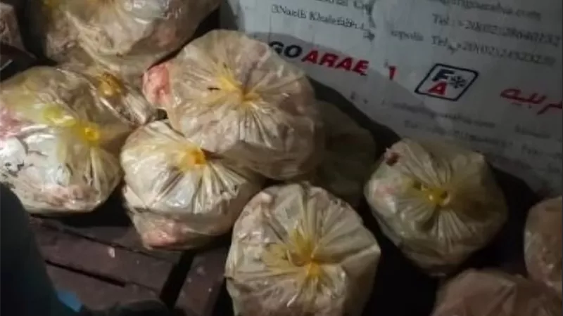 رئيس شعبة الدواجن بالجيزة يطالب بحظر تداول الطيور الحية والتحول إلى المبردة والمجمدة