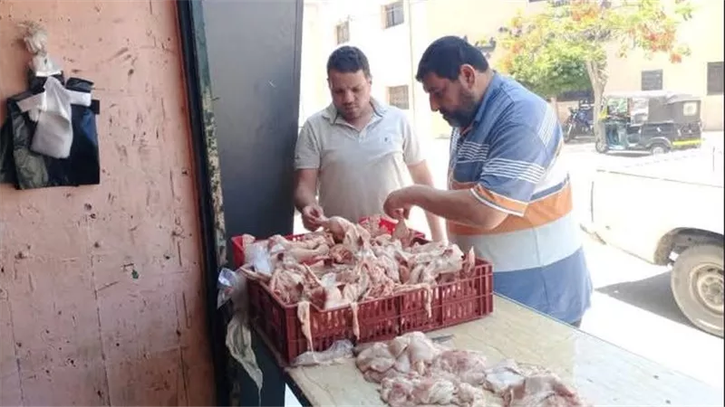استعدادا لعيد الأضحى.. بيطري كفر الشيخ يحرر 4 محاضر خلال حملات مكثفة