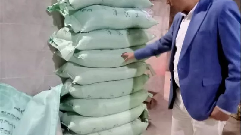 حملات تموينية مكثفة وتحرير محضرين بمدينة الرياض في كفر الشيخ