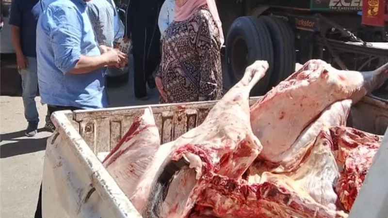 استعدادا لعيد الاضحى.. ضبط نصف طن لحوم غير صالحة بالمنوفية
