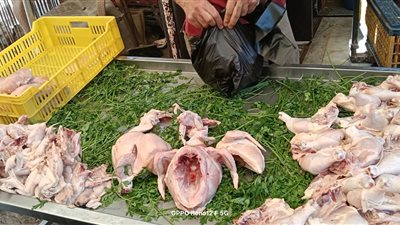 ضبط سلعًا منتهية الصلاحية ومخالفات في حملة تموينية بكفر الشيخ