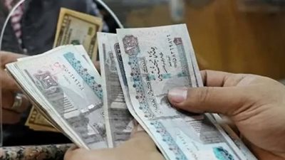 أزمة المعاشات.. مطالبات بوضع خطة لمنع تكرار الأعطال وتعويض المتضررين|خاص 
