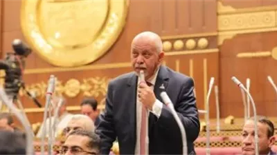 برلماني: الرئيس السيسي أنقذ مصر من السقوط