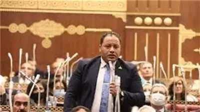 النائب مصطفى سالمان يطالب بخطة توعية شاملة لمواجهة التصحر